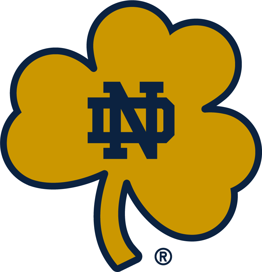 Notre Dame Fighting Irish 2015-Pres Secondary Logo v2 diy DTF decal sticker